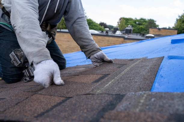 Best Emergency Roof Repair  in Clearwater, MN