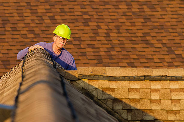 Best Residential Roofing Contractor  in Clearwater, MN