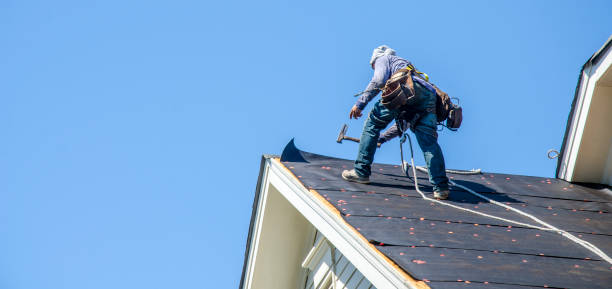 Best Storm Damage Roof Repair  in Clearwater, MN